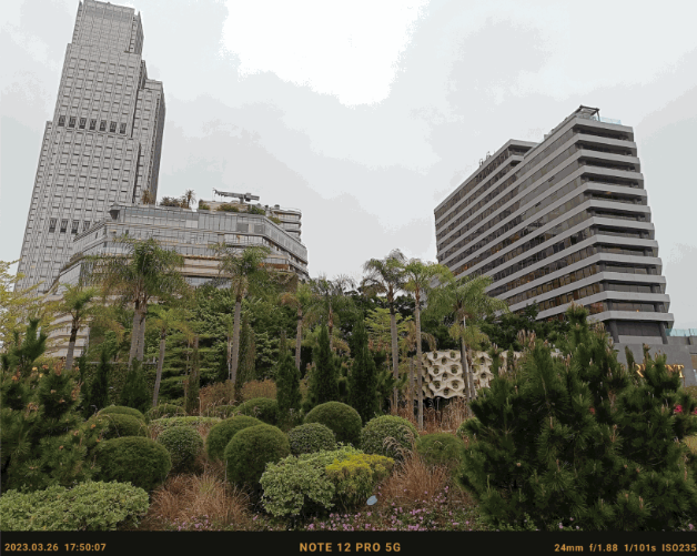 日光下拍攝,50MP廣角主鏡成像不俗,色彩偏向自然。