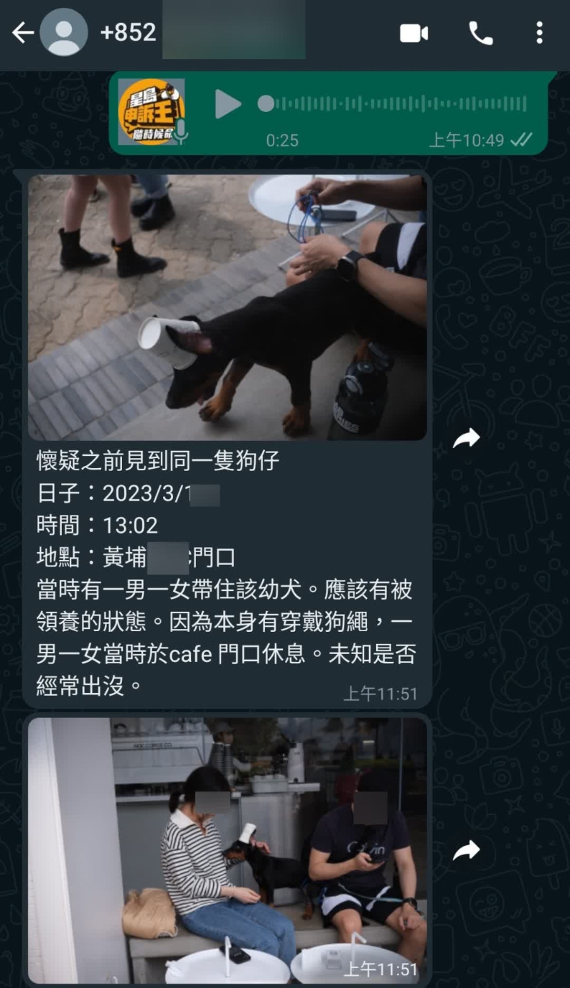 《星岛申诉王》收到市民刘先生报料，表示三月中曾在黄埔一间咖啡室门外，见到与朵朵外表高度相似的毛孩。