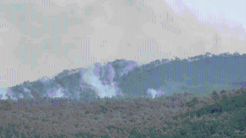 受风力影响火势一直未能得到控制