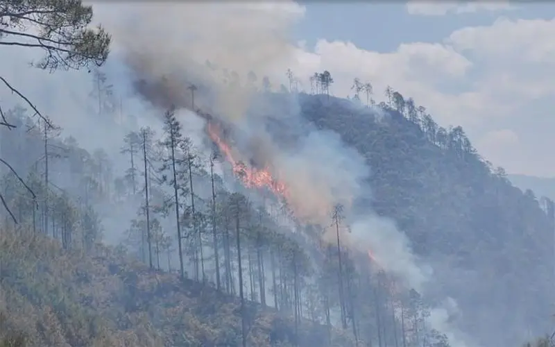 火场最高海拔2000米