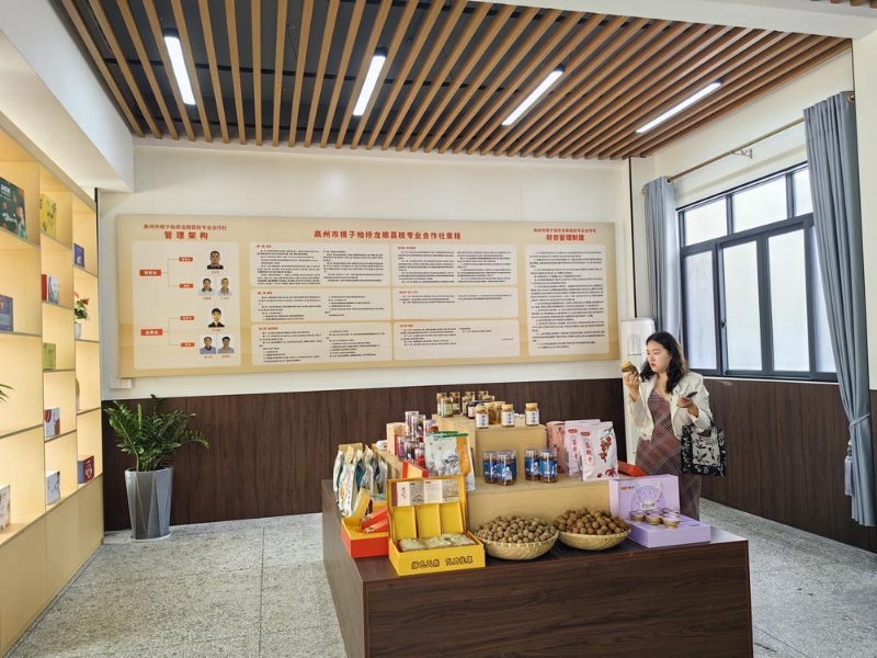 茂名通过打好产业、市场、科技、文化这“四张牌” 茂名通过打好产业、市场、科技、文化这“四张牌”