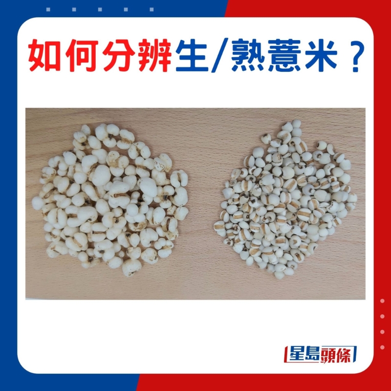 分辨薏米 分辨薏米