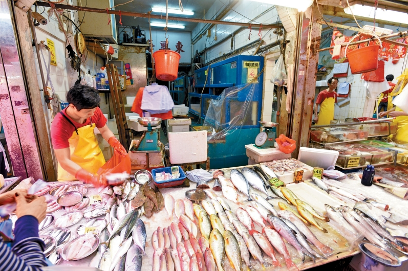 4新鱼类养殖区成立