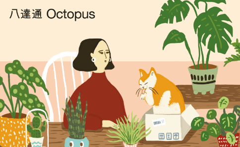 给自己绿色的家 给自己绿色的家