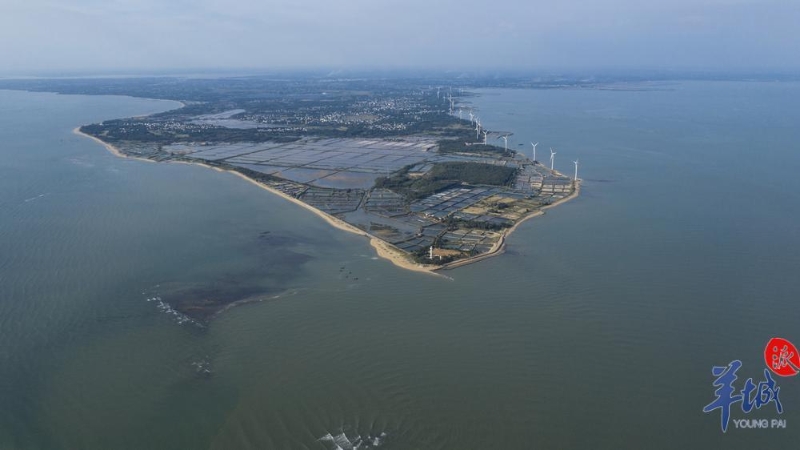 湛江海景 湛江海景