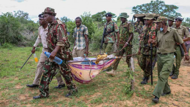 当地警方挖掘出至少47具尸体 当地警方挖掘出至少47具尸体