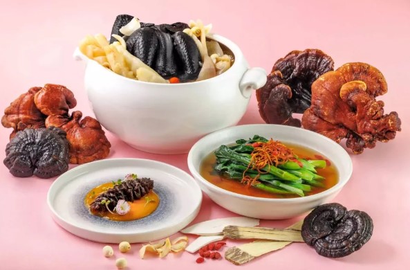 灵芝虫草滋养美食盛宴 灵芝虫草滋养美食盛宴