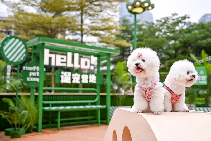 遛宠营地 遛宠营地