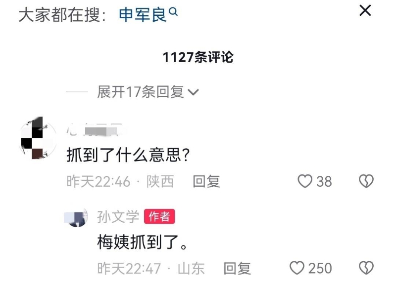 孙文学称梅姨抓到了 孙文学称梅姨抓到了