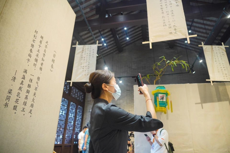 中国茶展览 中国茶展览