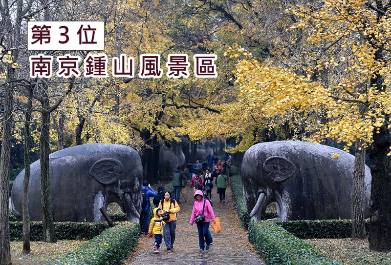 南京钟山风景区。 新华社图片 南京钟山风景区。 新华社图片