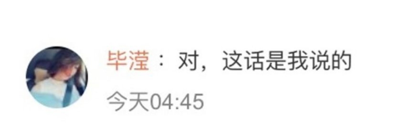 聊天对话截图 聊天对话截图