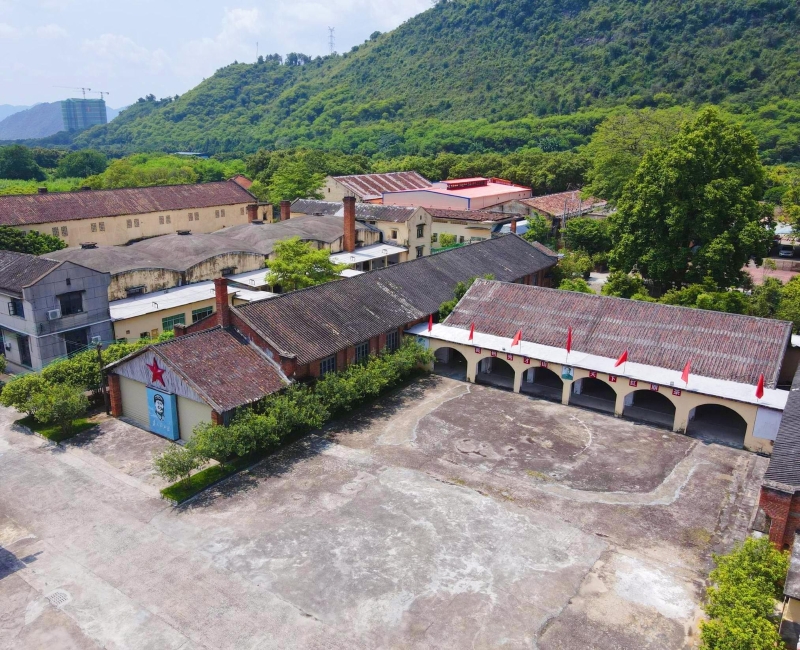 红茶工艺 红茶工艺