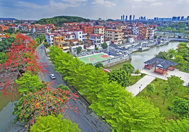 紫南美丽村居 潘庆基 摄紫南美丽村居 潘庆基 摄 紫南美丽村居 潘庆基 摄紫南美丽村居 潘庆基 摄