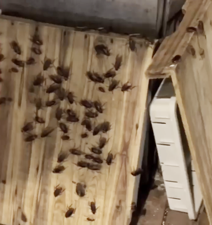 这一恐怖奇景,引发网民热议。 这一恐怖奇景,引发网民热议。