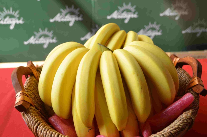 拜神水果最讲意头，香蕉应招财。
