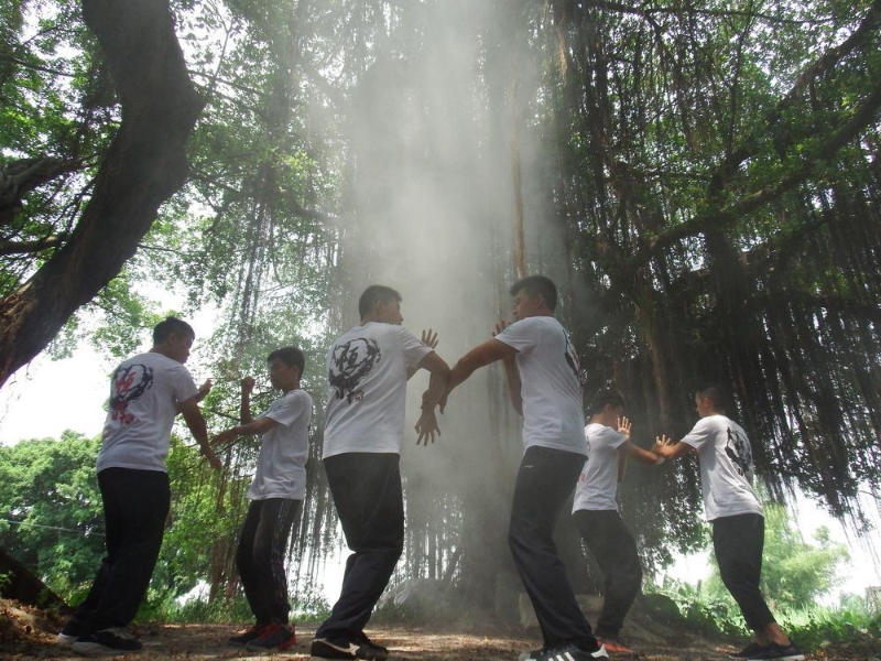 鹤山古劳咏春拳