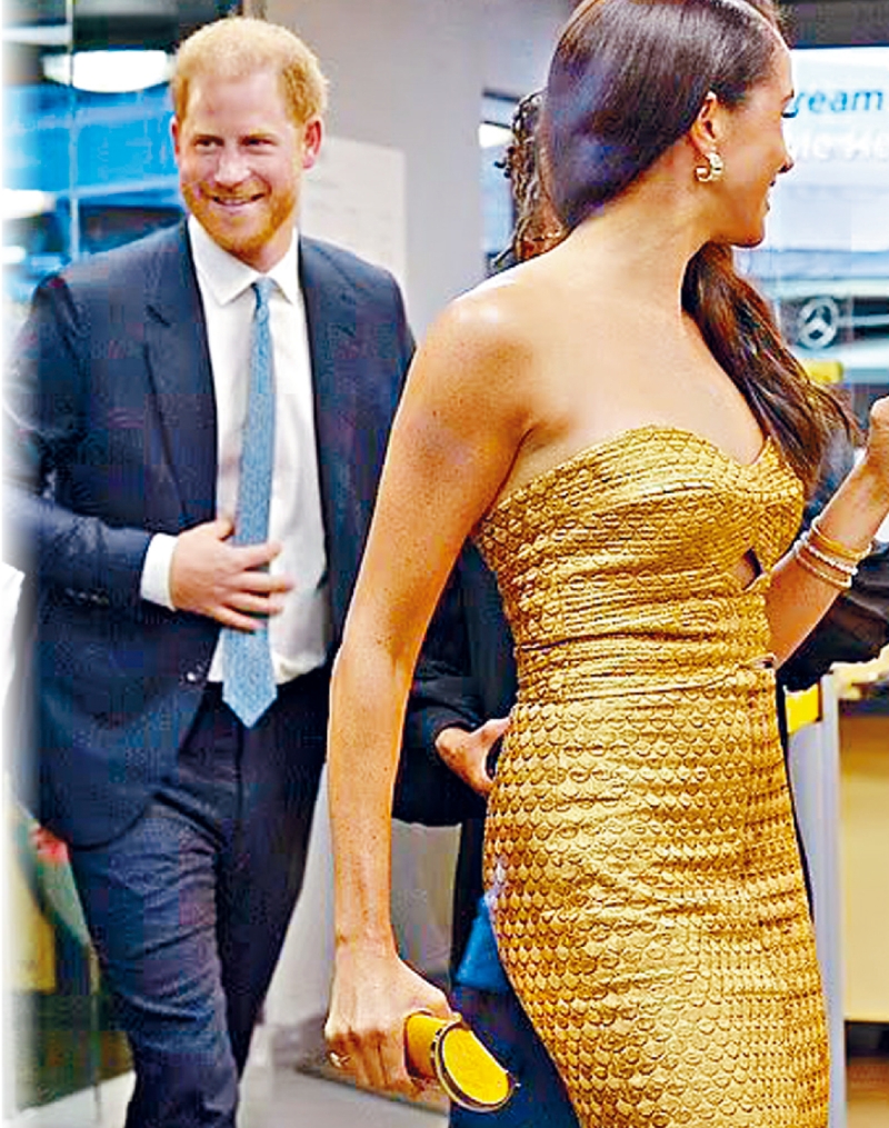 哈里夫妇。 哈里夫妇。