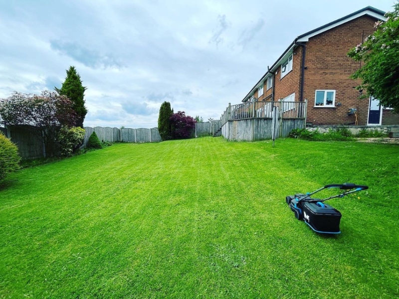 林子博去年底自爆由公寓搬往两层高独立洋房，更拍摄屋内环境，曝光超大型花园