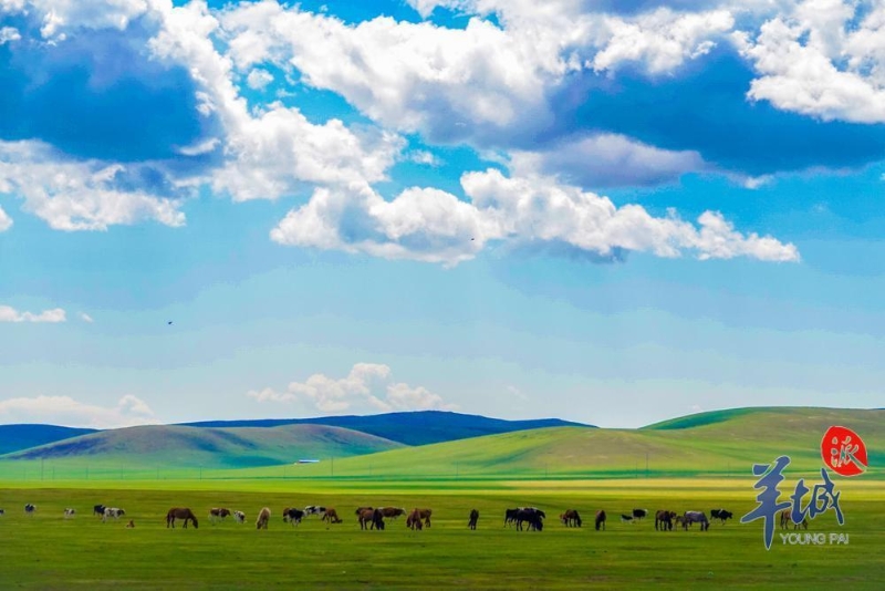 陈巴尔虎草原 陈巴尔虎草原