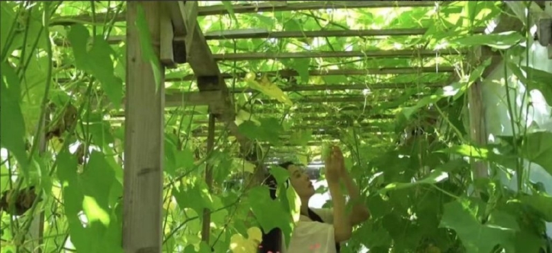 王祖贤看来非常享受息影后的悠闲生活。