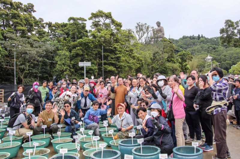 宝莲禅寺今年初招募了150名荷花种植义工，经香港园艺学会种植专家培训后，与凈因大和尚一同种植荷花。