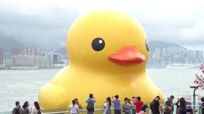 巨型黄鸭