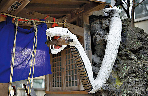 神社内外有很多白蛇雕像。