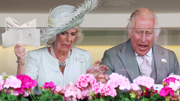 查尔斯和卡蜜拉6月22日在雅士谷赛马中，眼见自家赛马赢得英王乔治五世（King George V）大赛后激动不已