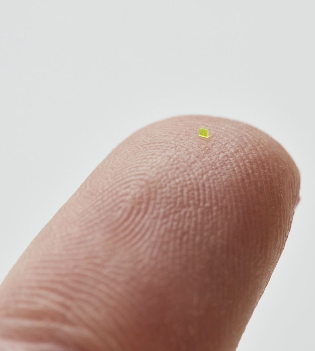 MSCHF打造世上最迷你的 LV手袋。