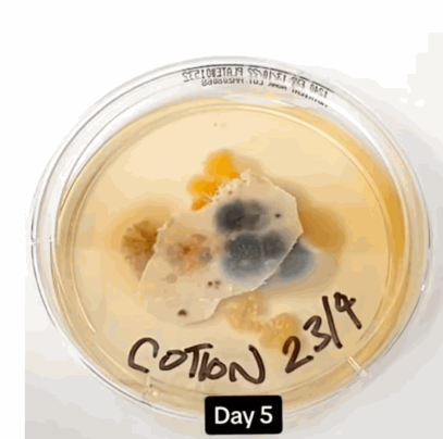 枕头套的情况 枕头套的情况