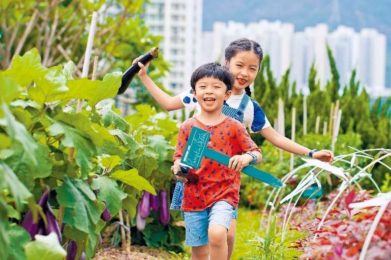 “一喜种田”为信和集团的综合绿色小区项目,旨在与市民大众一起为可持续发展的未来播下种子,让小区更亲近大自然。 “一喜种田”为信和集团的综合绿色小区项目,旨在与市民大众一起为可持续发展的未来播下种子,让小区更亲近大自然。