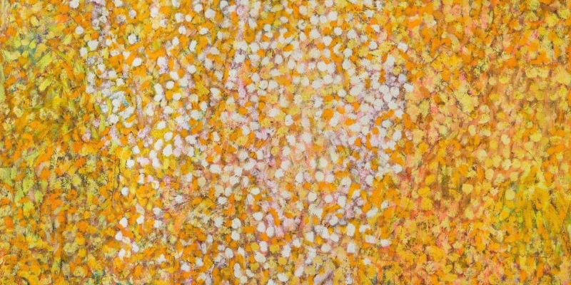 个体 · 源流 ‧ 表现