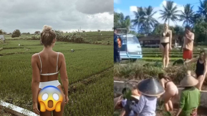 游客穿比坚尼与农民合照 游客穿比坚尼与农民合照