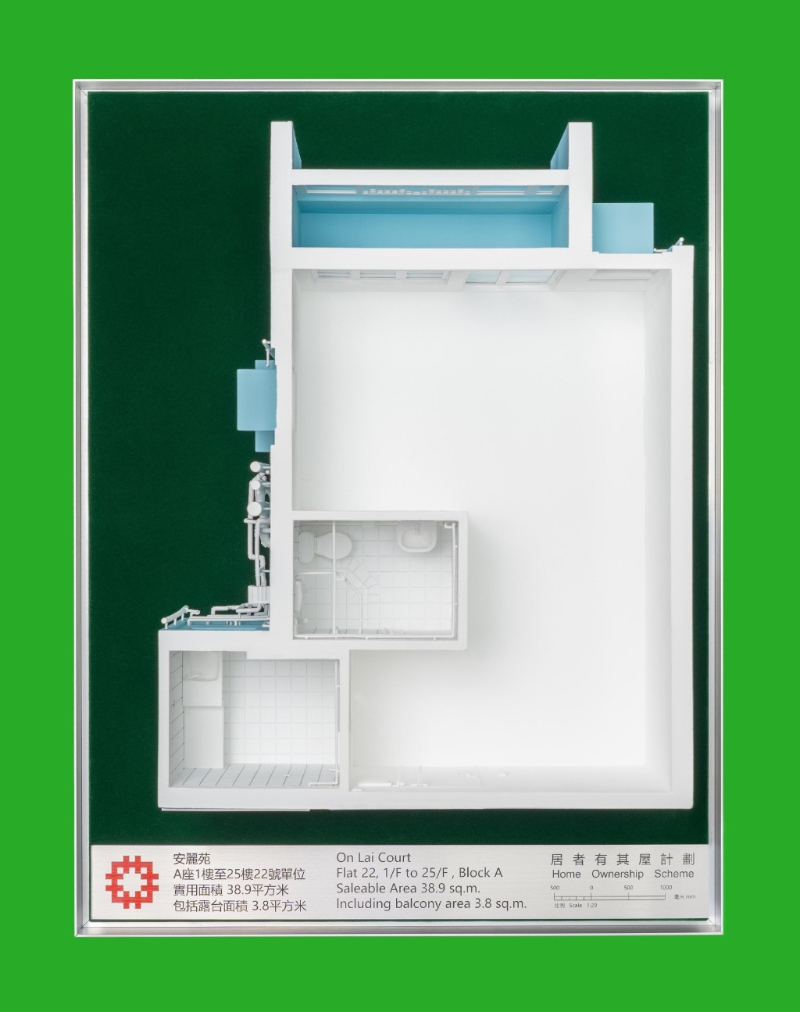 安丽苑A座1楼至25楼22号单位的模型 安丽苑A座1楼至25楼22号单位的模型