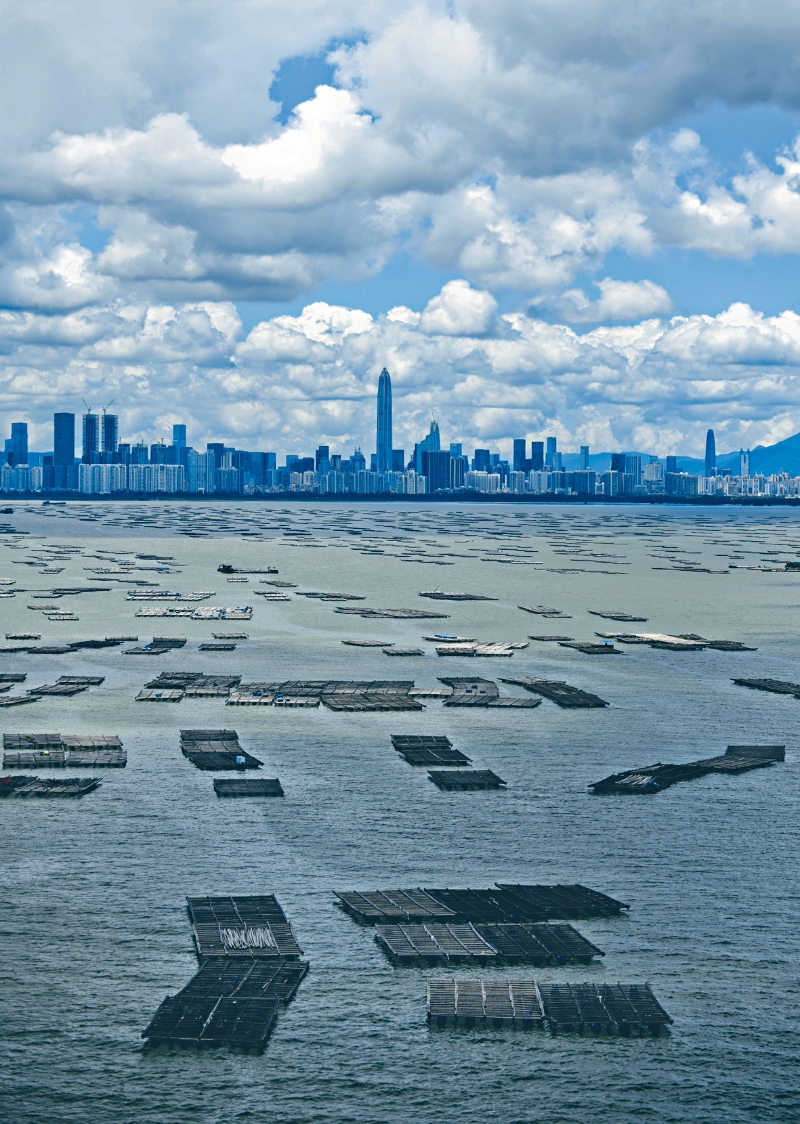 MAZ02P01030823 copy MAZ02P01030823 copy