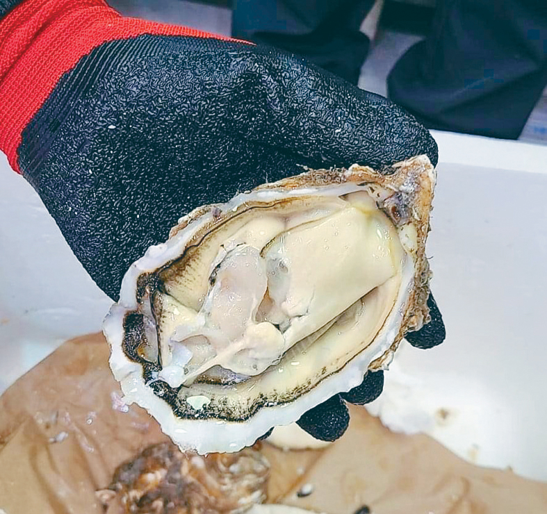 MAZ02P03030823 copy MAZ02P03030823 copy