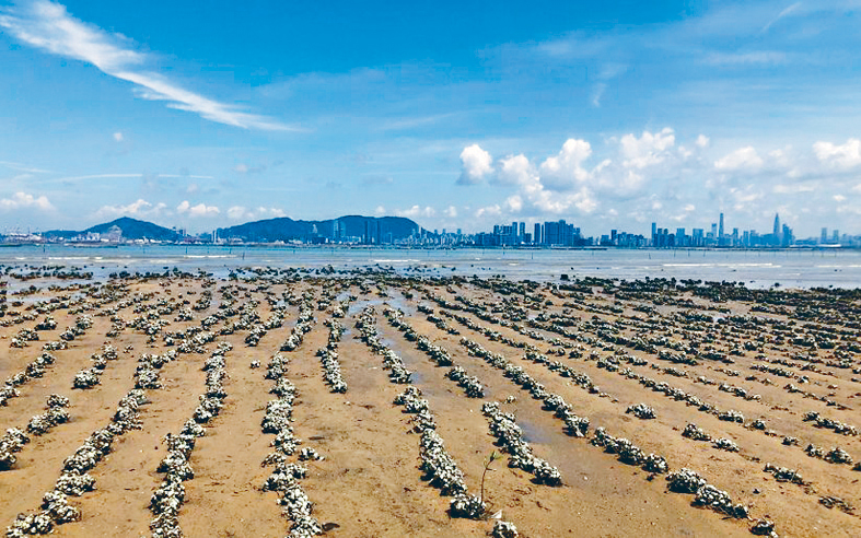 MAZ02P06030823 copy MAZ02P06030823 copy