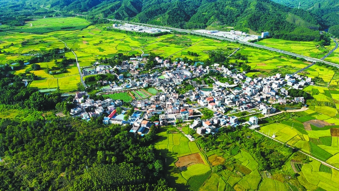 江厦村历史文化底蕴深厚,自然环境优越,充满生机。 江厦村历史文化底蕴深厚,自然环境优越,充满生机。