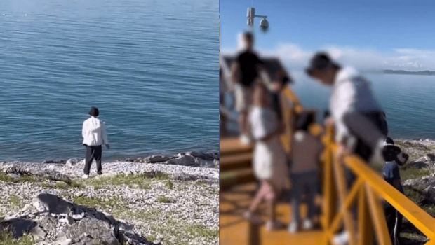 网传男游客翻越护栏到青海湖边撒尿。