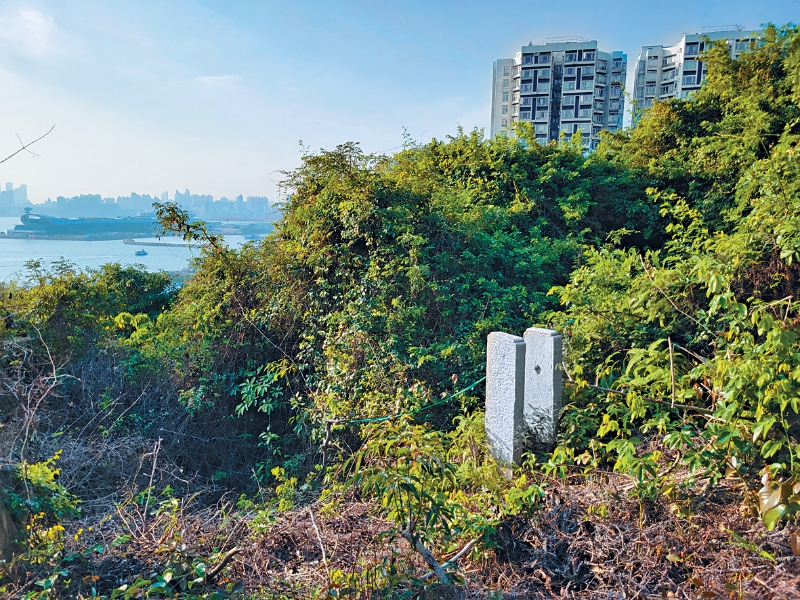 MAZ02P03140823 copy MAZ02P03140823 copy