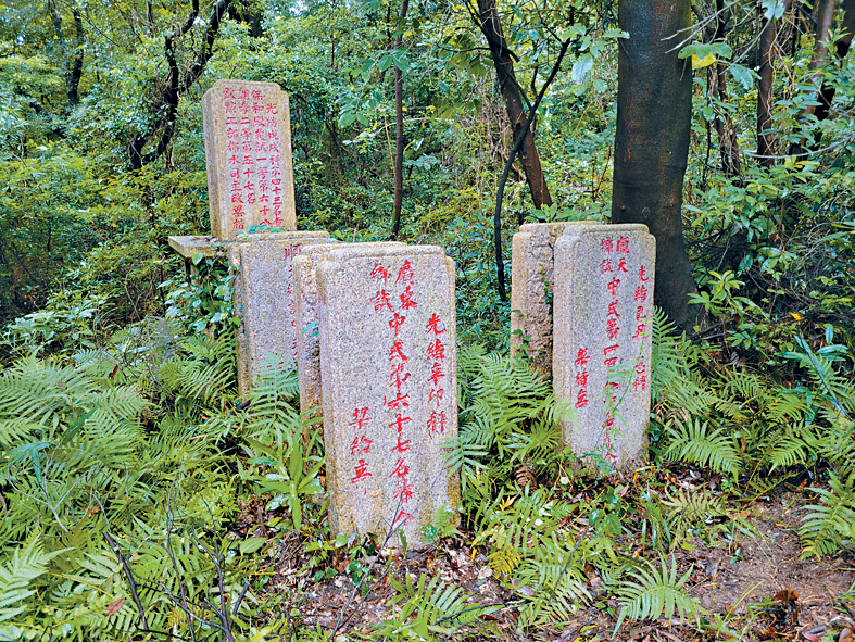 MAZ02P04140823 copy MAZ02P04140823 copy