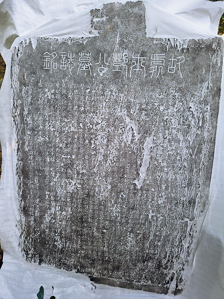 MAZ02P06140823 copy MAZ02P06140823 copy