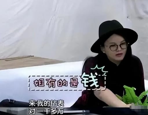 李湘不时被指炫富