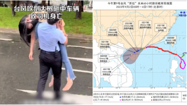 强风吹倒大树致深圳1死2伤 强风吹倒大树致深圳1死2伤