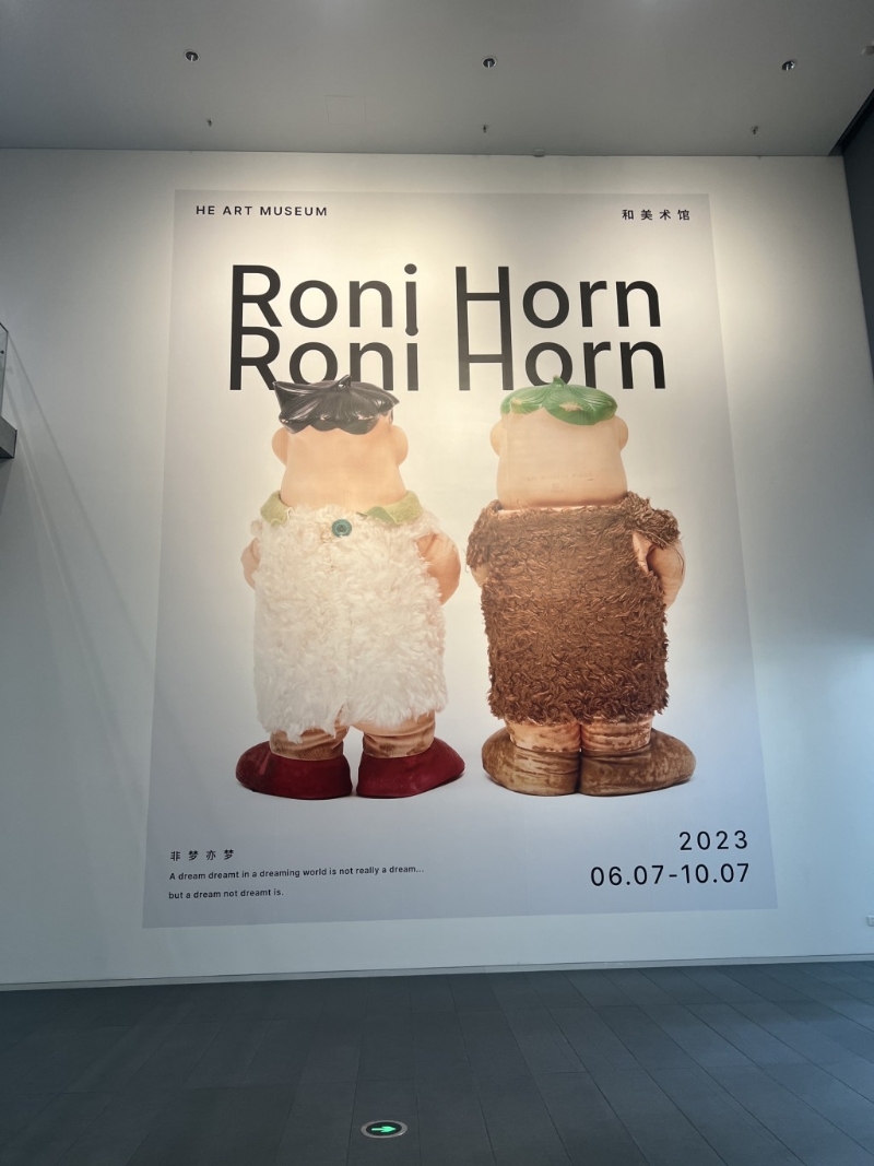 和美术馆 Roni Horn《非梦亦梦》展览，展期至2023年10月7日。图：Trip@飞奔中的狼8