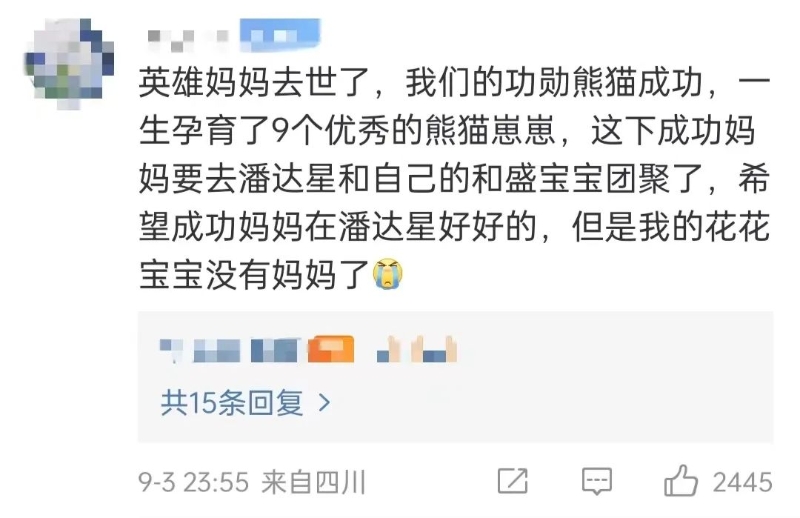 网友评论 网友评论