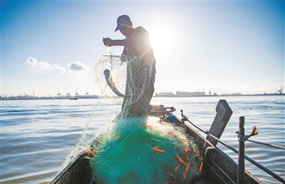 莲花山渔港,渔民下网捕鱼啰。 莲花山渔港,渔民下网捕鱼啰。