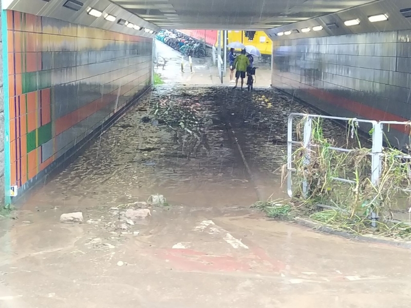 楼主报料,指大埔文娱中心条隧道系过到嘅。 楼主报料,指大埔文娱中心条隧道系过到嘅。