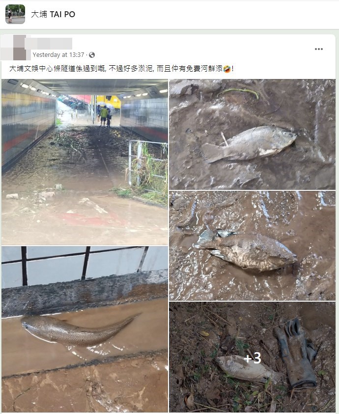 楼主帖文。 楼主帖文。